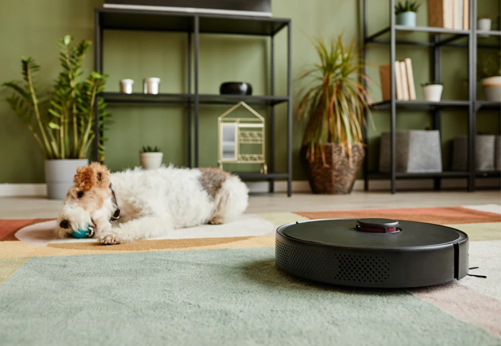 robot vacuum cleaner self charging